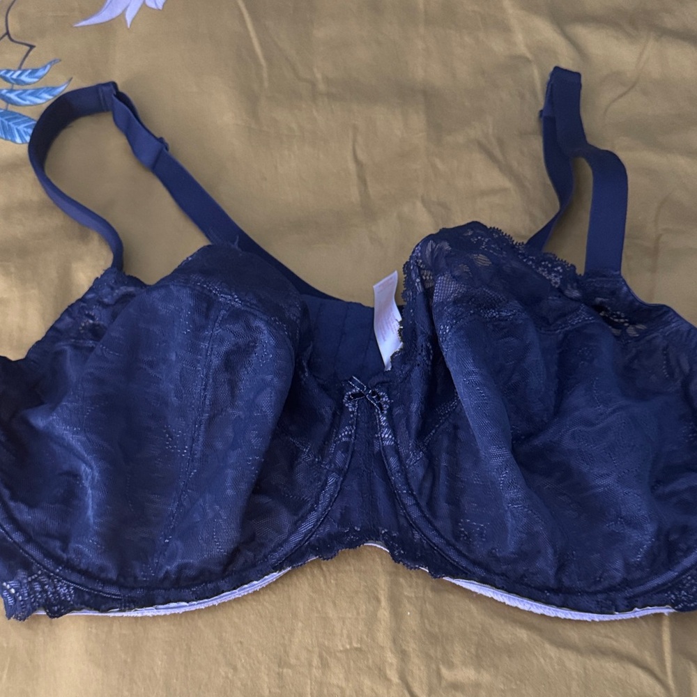 CACIQUE Navy Lace Bra 44DD